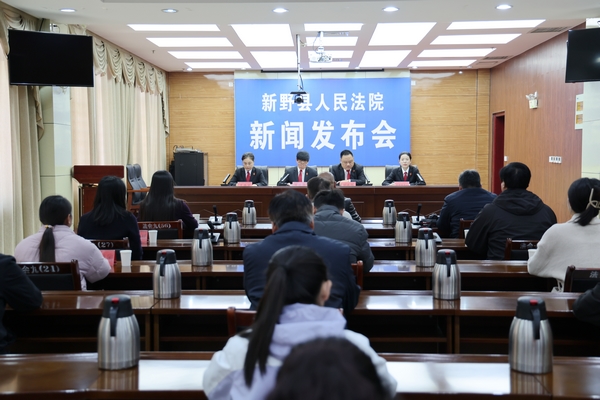 新野县法院召开民商事审判工作新闻发布会