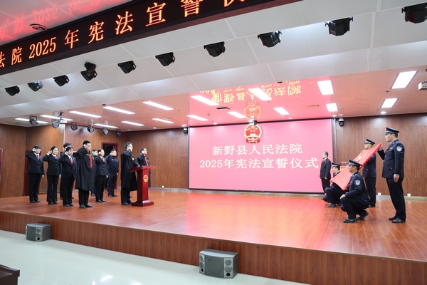 新野县法院举行2025年宪法宣誓仪式