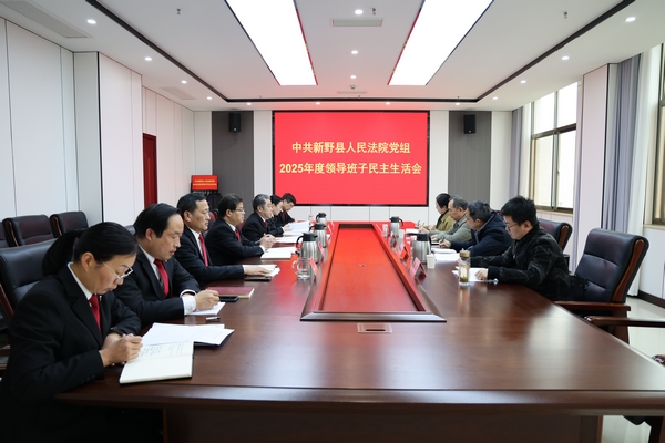 新野县法院党组召开2025年度民主生活会