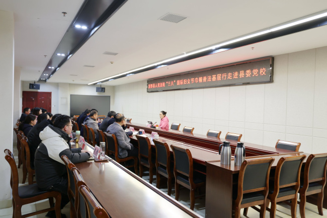 新野县法院：守护“她”权益 护航“她”力量