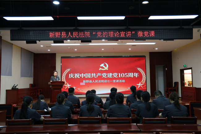 让红色血脉在审判一线奔流不息 ——新野县法院举办“迎七一”微党课宣讲活动