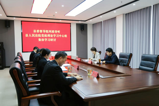 县委督导组列席旁听新野县法院党组理论学习中心组集体学习研讨